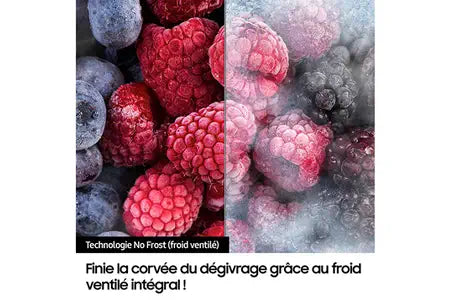 Réfrigérateur multi-portes Samsung RF24BB620ES9