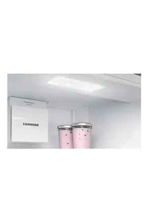 Réfrigérateur 1 porte Liebherr IRBc4120-22 BioFresh