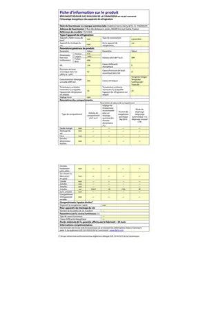 Congélateur coffre Thomson TCH395E